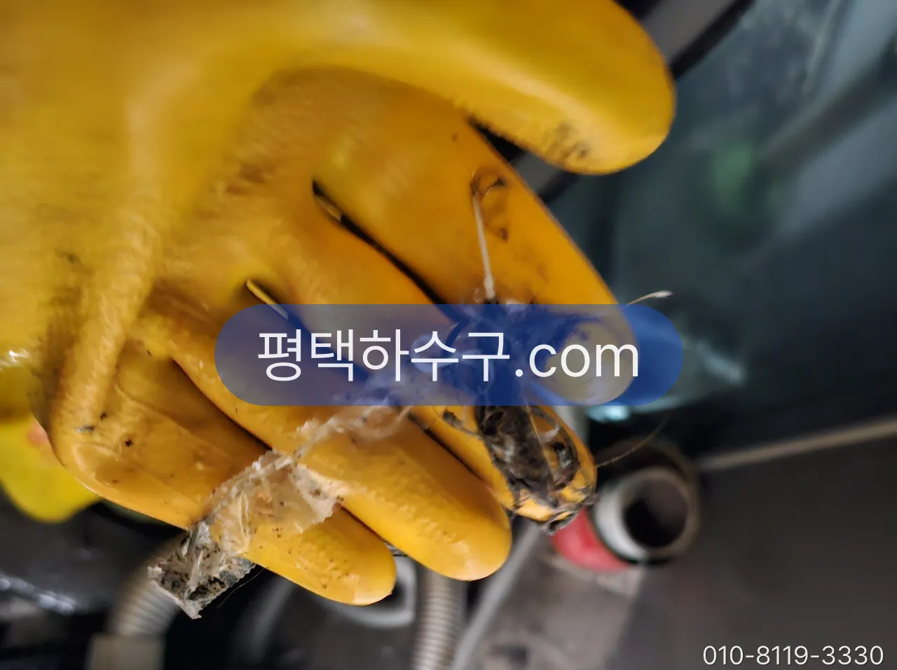 화장실·싱크대·세탁실 하수구 냄새, 어디부터 보나 — 봉수·트랩·왁스링·통기 순서 — 배수구 트랩 아래에서 걷어낸 머리카락 뭉치 — 나방파리가 자라는 슬러지
