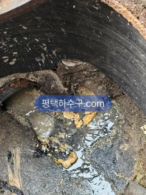 평택하수구 현장 — 그리스트랩 내부 기름 덩어리