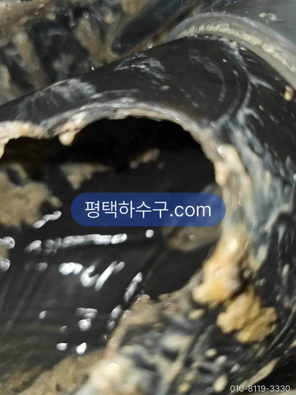 그리스트랩 청소 현장 — 기름때가 두껍게 눌어붙은 주방 배관 내부