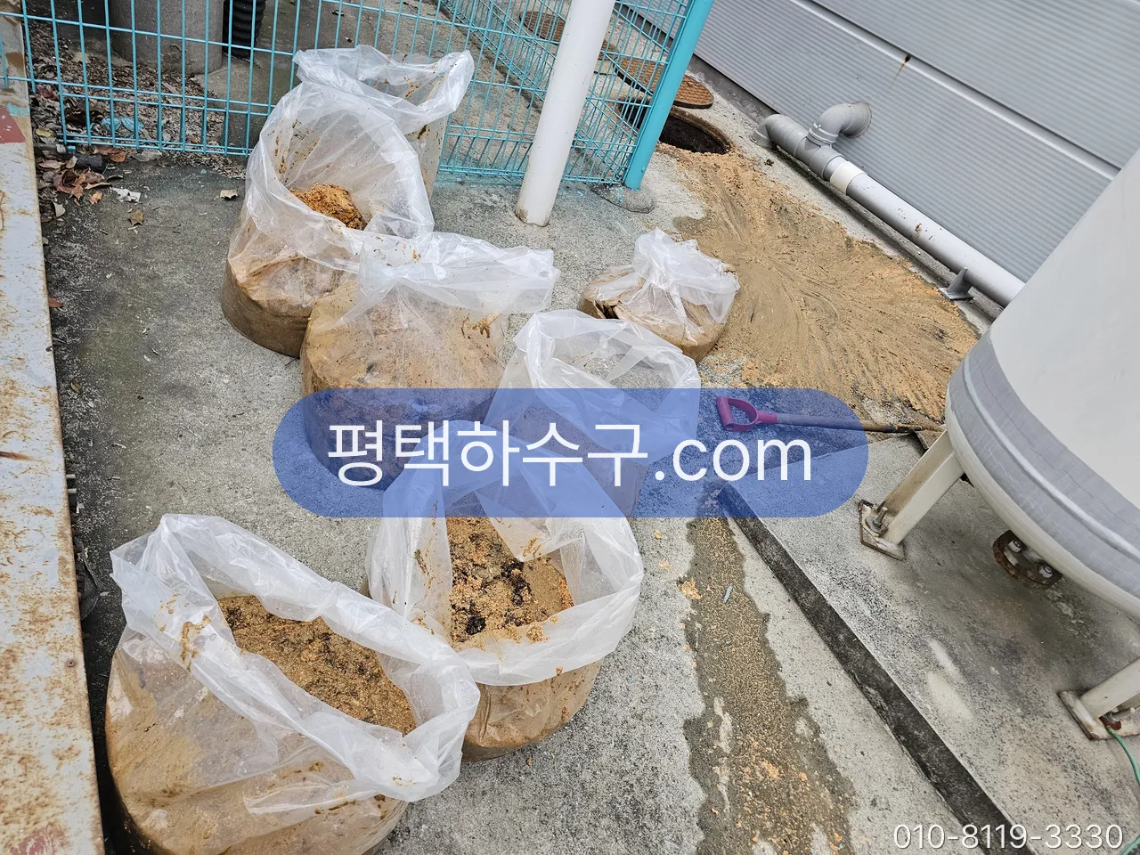 식당 · 구내식당 주방 배관 정기세척 현장 — 그리스트랩에서 걷어낸 기름 슬러지 — 봉투에 담아 반출