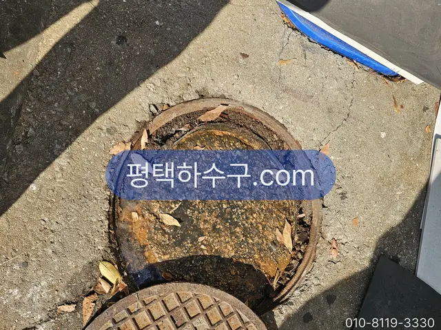 평택하수구 현장 기록 — 낙엽이 낀 우수받이 뚜껑 — 낙엽 시즌 빗물이 못 빠지는 첫 원인