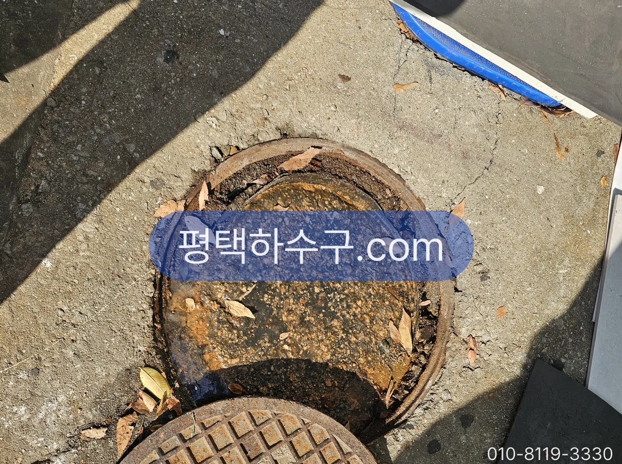 우수관 막힘 · 옥상 배수구·홈통·베란다 우수관 현장 — 낙엽이 낀 우수받이 뚜껑 — 낙엽 시즌 빗물이 못 빠지는 첫 원인