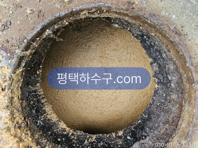 평택하수구 현장 기록 — 정화조 유입부 — 스컴이 만수 상태로 굳은 모습