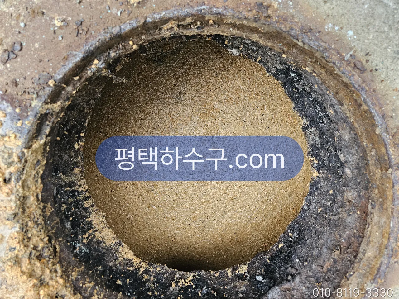 정화조 냄새·역류 — 청소 시기 문제인지, 연결관·통기관·트랩 문제인지 — 정화조 유입부 — 스컴이 만수 상태로 굳은 모습