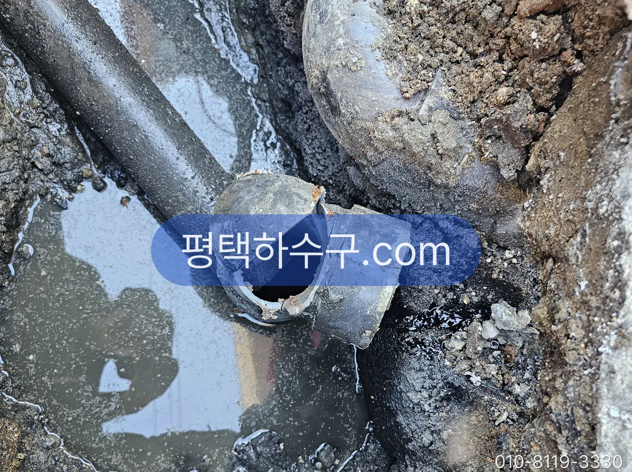 정화조 냄새·역류 — 청소 시기 문제인지, 연결관·통기관·트랩 문제인지 — 정화조 연결관 파손 구간 — 굴착 후 절단