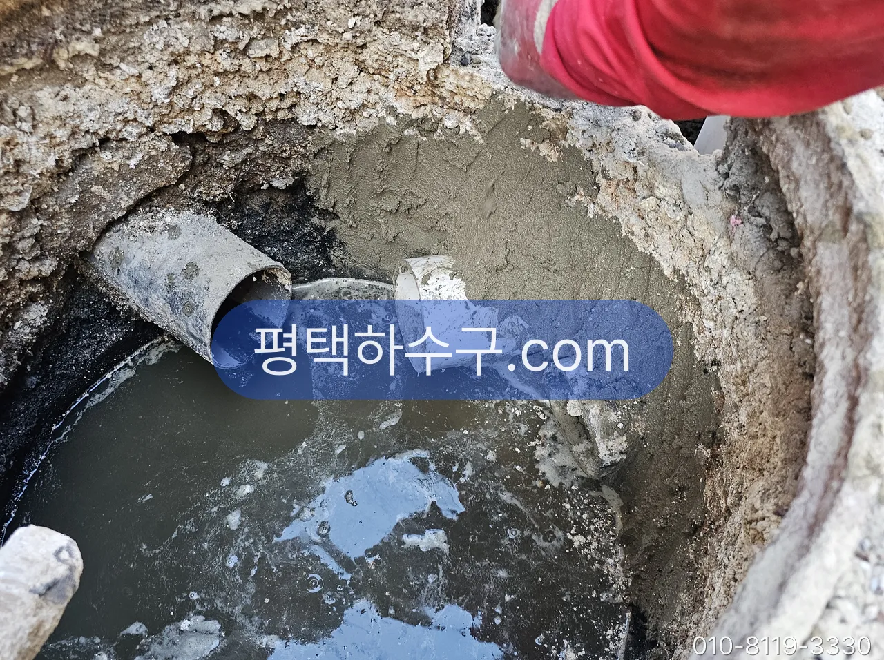 정화조 냄새·역류 — 청소 시기 문제인지, 연결관·통기관·트랩 문제인지 — 새 오수받이 설치 후 물 흐름 확인