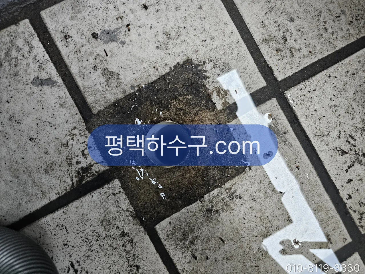 화장실·싱크대·세탁실 하수구 냄새, 어디부터 보나 — 봉수·트랩·왁스링·통기 순서 — 트랩 없이 구멍만 뚫린 배수구 — 유가 교체 대상