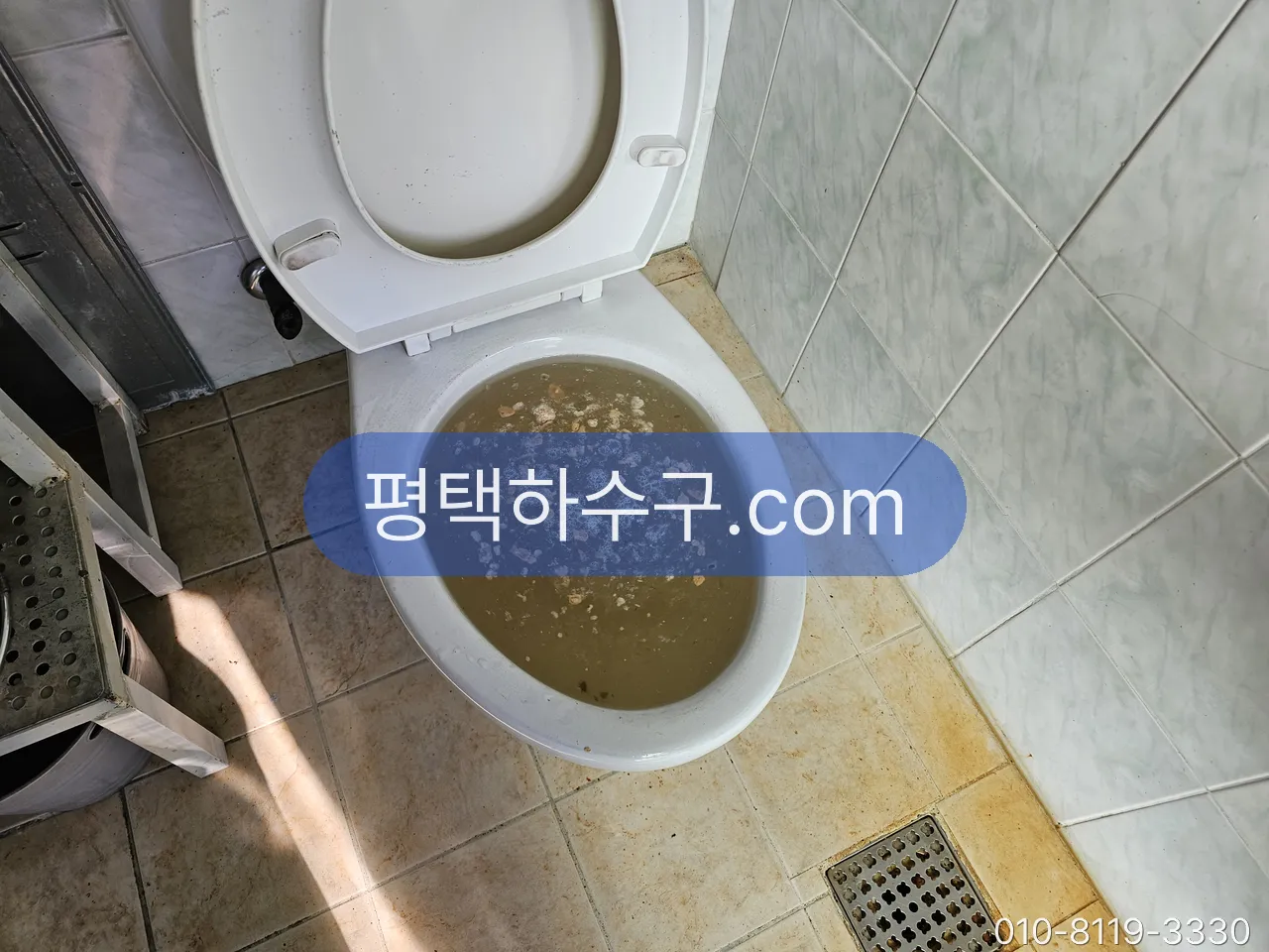 변기 막힘 현장 — 물이 차오르는 변기 — 원인 구간부터 확인합니다