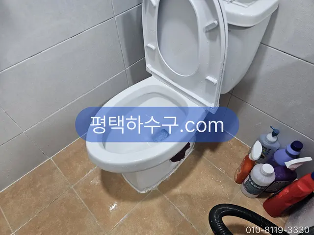 Clogged Toilet — After clearing — flush checked before we leave